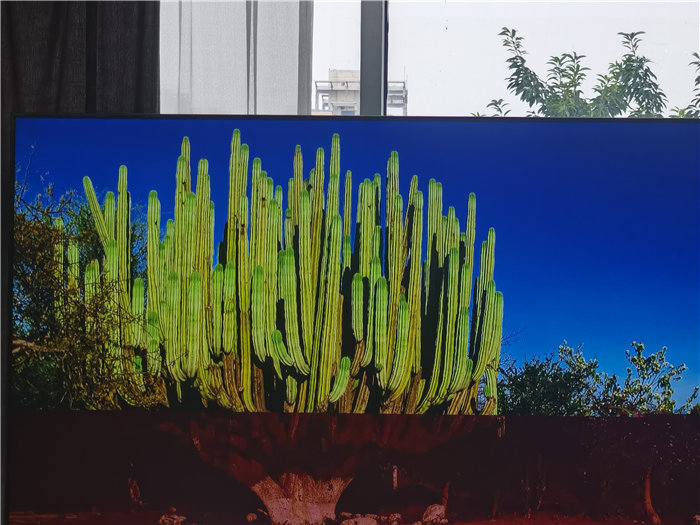 綿陽中旅假日旅行社2025年澳洲暨秋季線路品鑒會